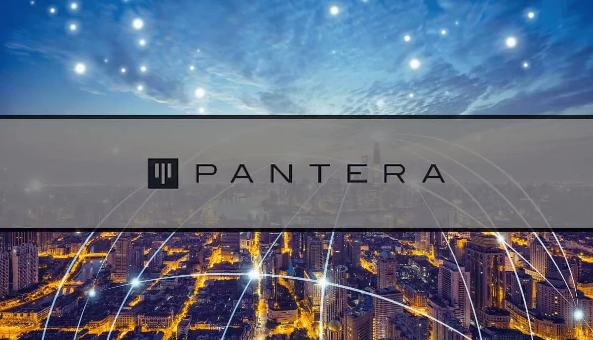 Pantera: Почему TON — наш главный холдинг? | Би.ком